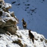 En montant à la crois de l'Alpe