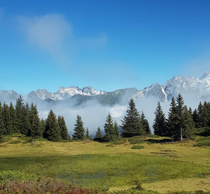 🏔️ Randonnée au refuge du Crêt du Poulet : alpages et panoramas sur Belledonne