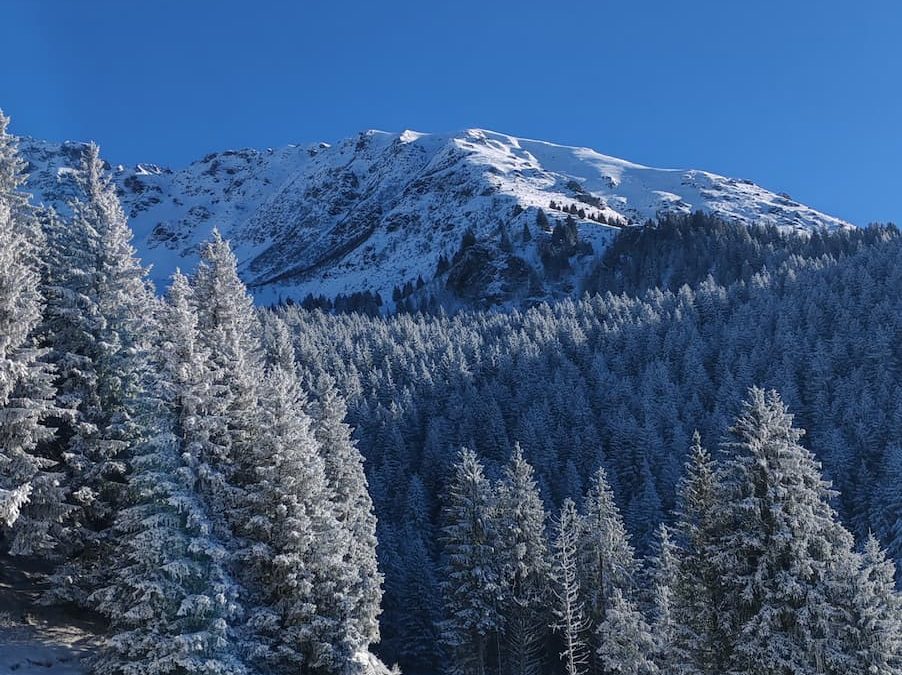 🎿 Ski de fond en Belledonne et Chartreuse : glissez au cœur des montagnes enneigées